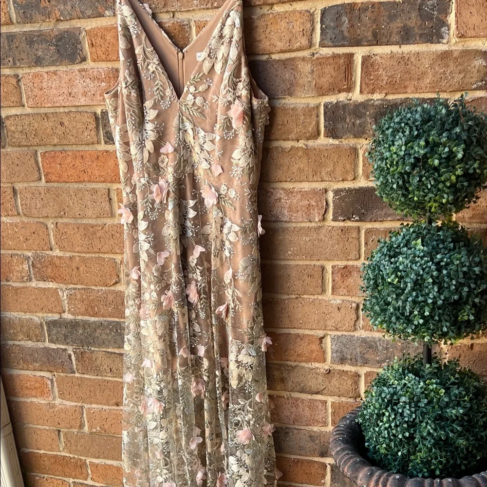 Dress the Population Blush Floral Embroidered Tulle Long Dress - Picture 15 of 16